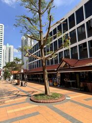 Toa Payoh Central (D12), Shop House #455881991